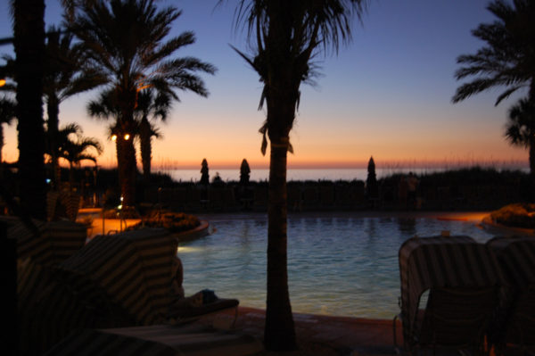 Steel Drums at the Sandpearl Resort on Clearwater Beach